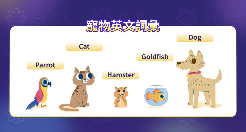 關於寵物的英語詞彙