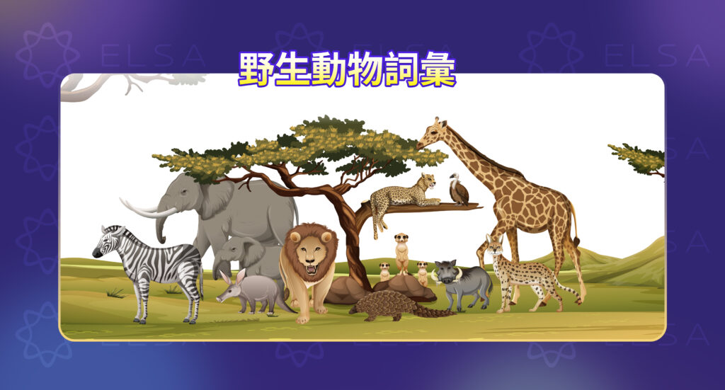 關於野生動物的詞彙