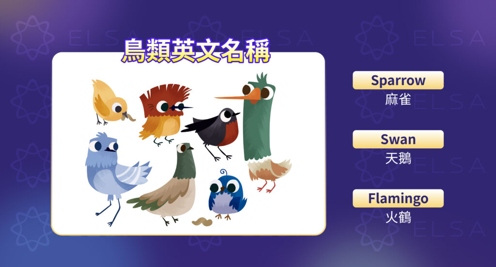 英語鳥類詞彙
