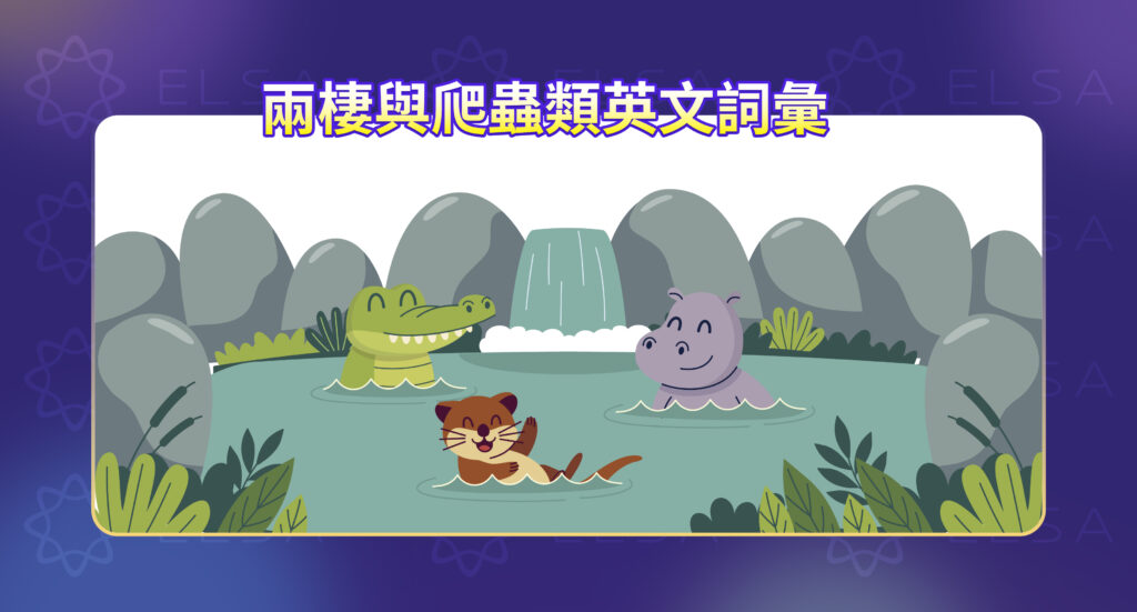 一些關於兩棲類的英語詞彙