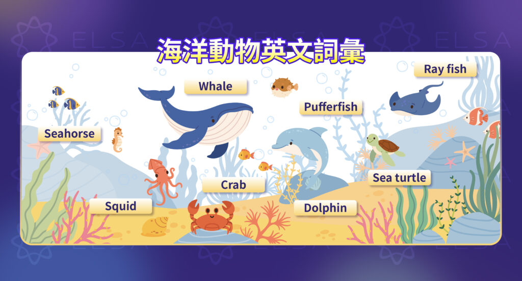 關於水生動物的詞彙