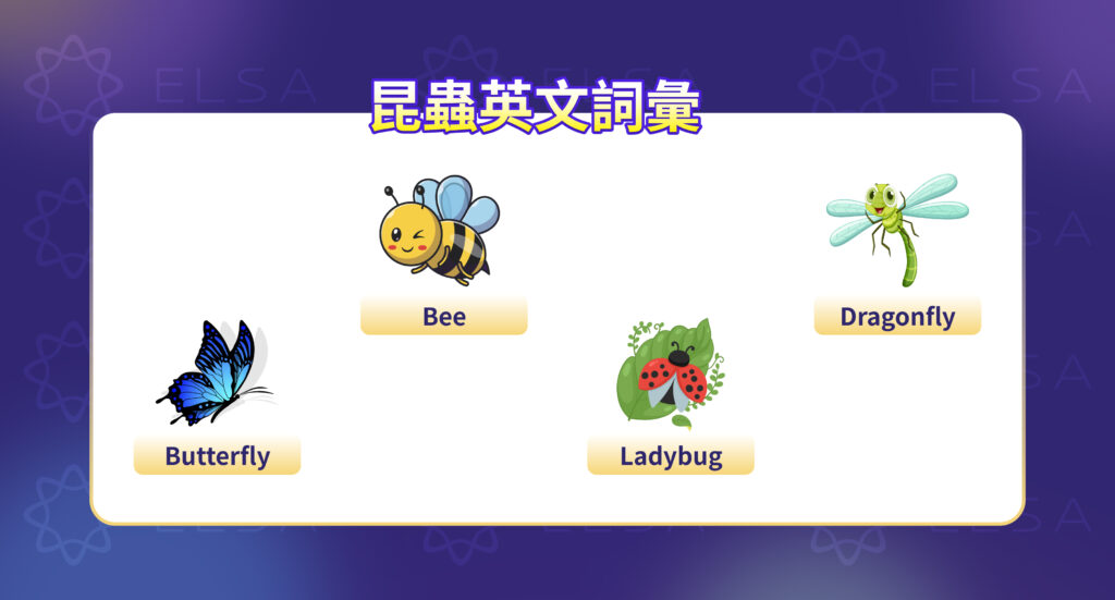 關於昆蟲的英語詞彙