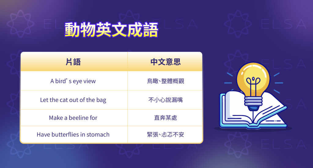 關於動物的英語成語