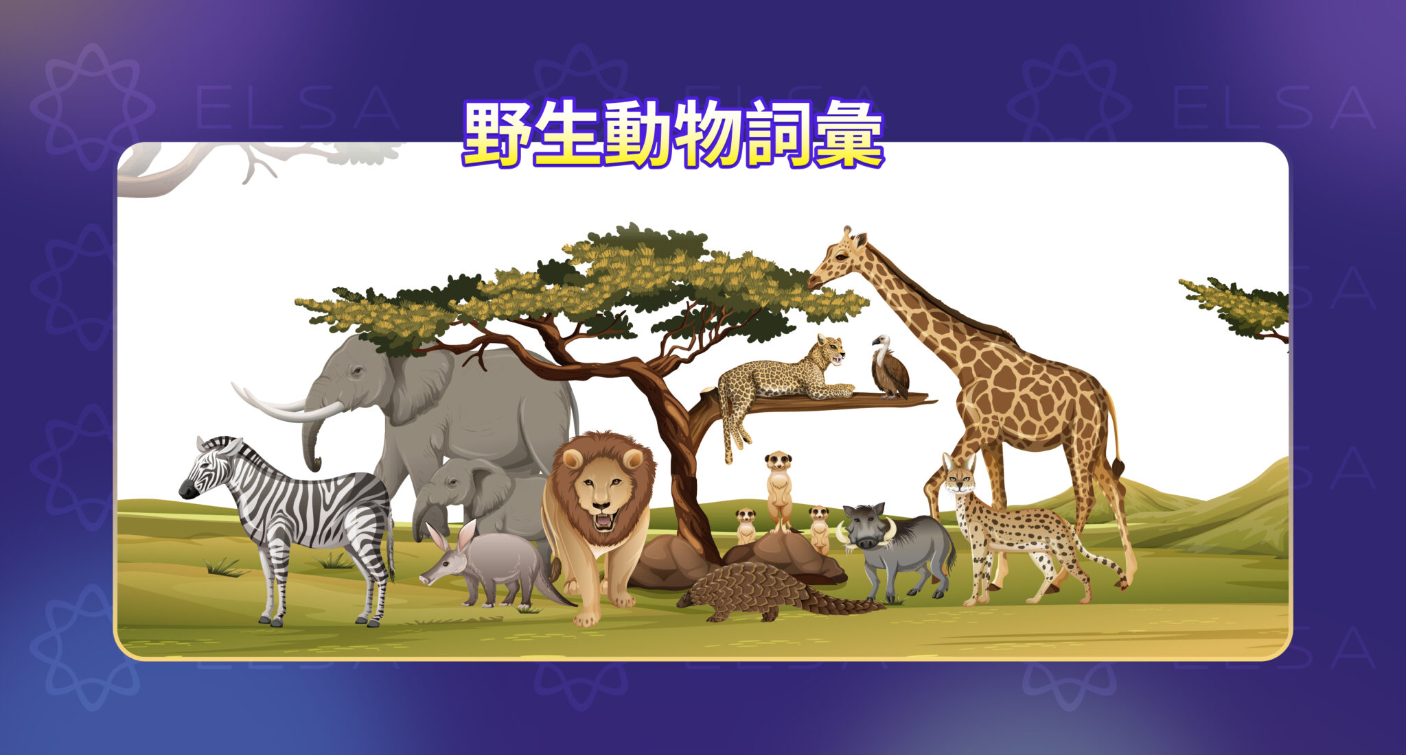 動物英文(Animals):依26個英文字母整理 200+ 種動物名稱