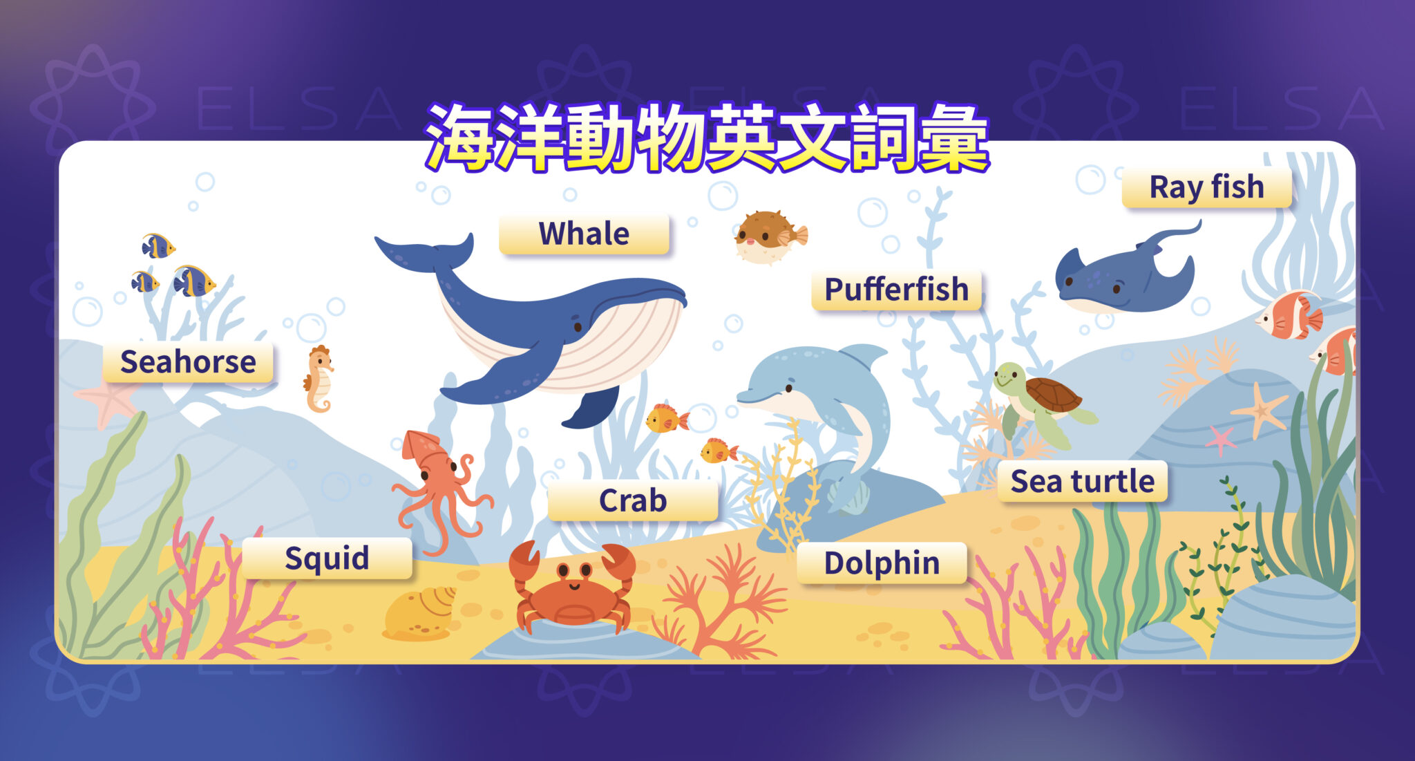 動物英文(Animals):依26個英文字母整理 200+ 種動物名稱