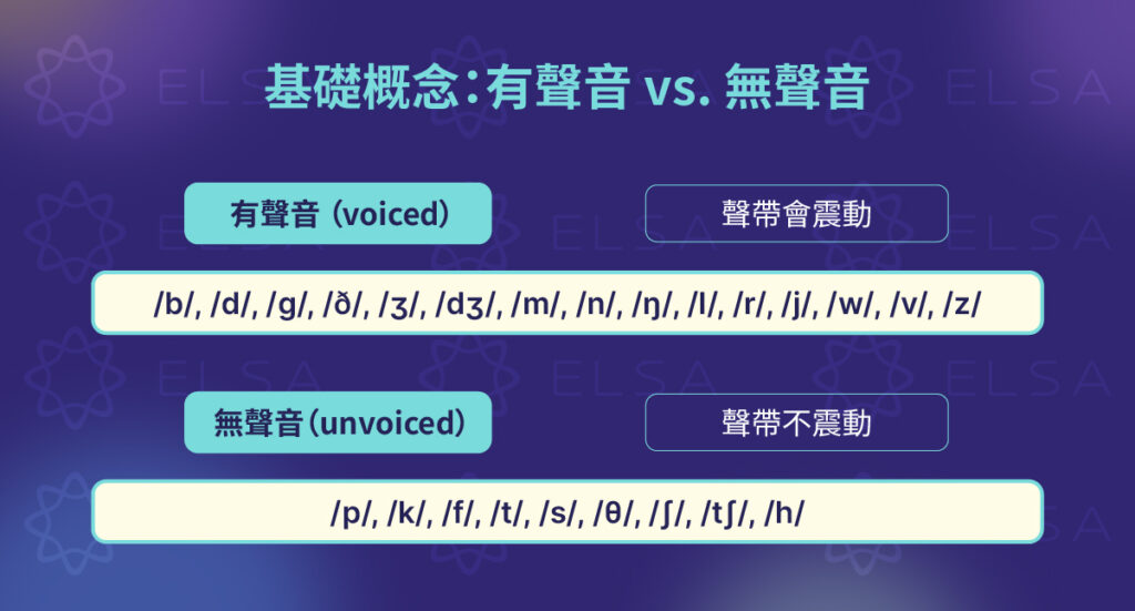 區分清音和濁音（與 -ed 發音有關）