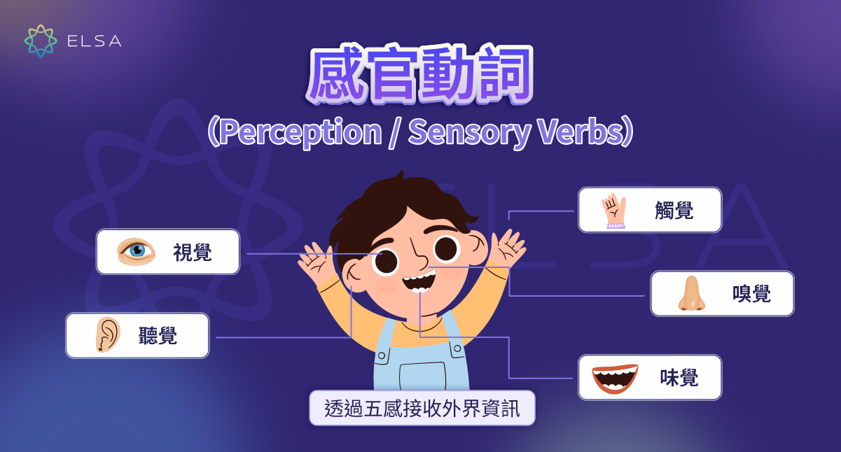 感官動詞 (Perception verbs):標準句型結構與用法