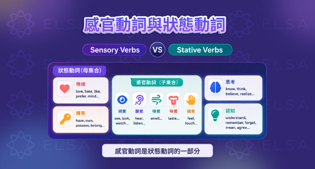 感官動詞是狀態動詞大類中的子集 感官動詞是狀態動詞大類中的子集