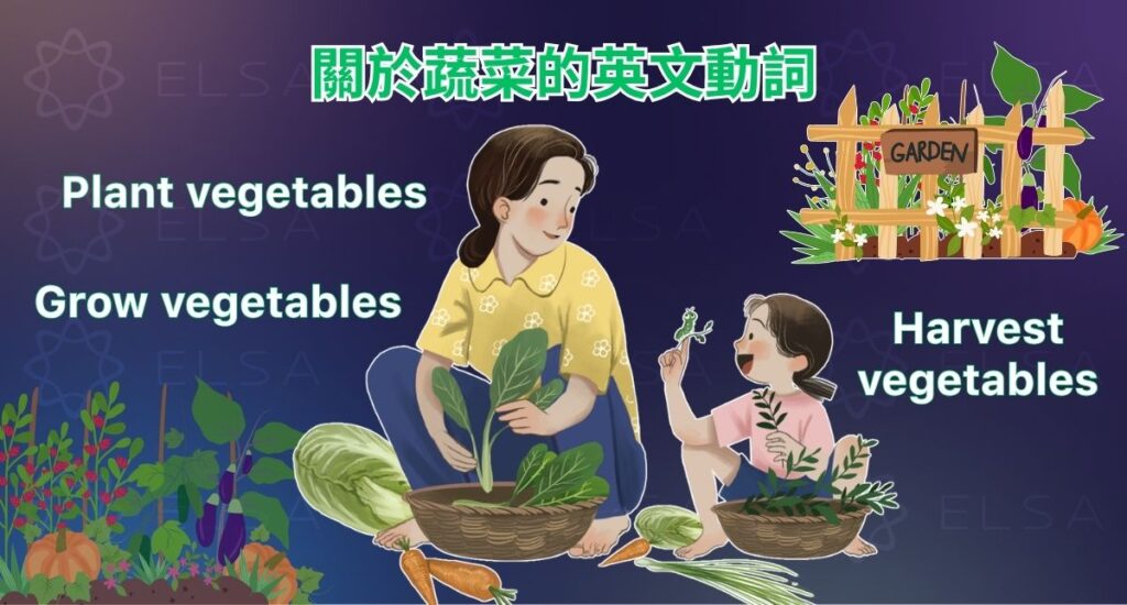 掌握 grow、plant、harvest、wash、peel、chop、slice、dice vegetables 等實用動詞。