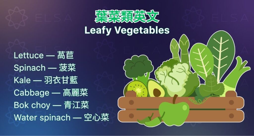 認識葉菜類的英文 leafy vegetables,以及 spinach、lettuce、celery 等常見單字。