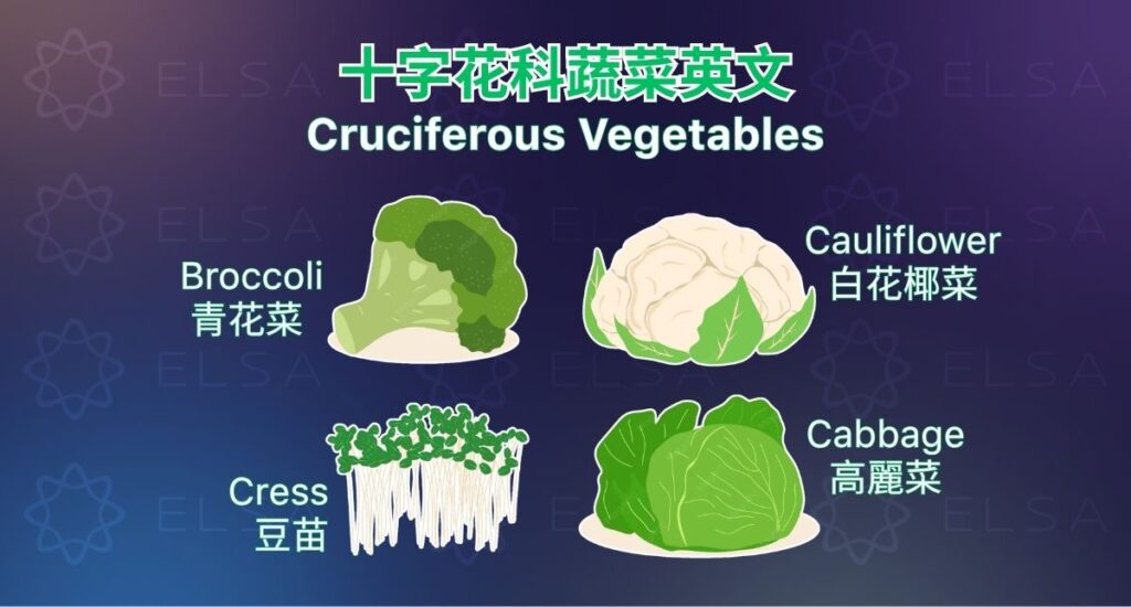 學習十字花科蔬菜的英文 cruciferous vegetables,如 broccoli、cabbage、cauliflower。