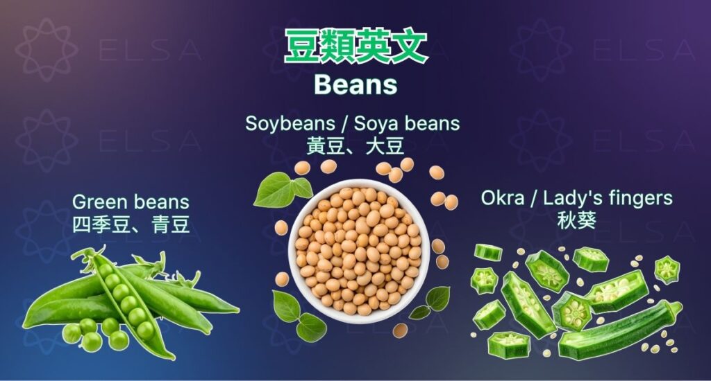 認識豆類的英文 beans and legumes,以及 green bean、pea、soybean 等單字。
