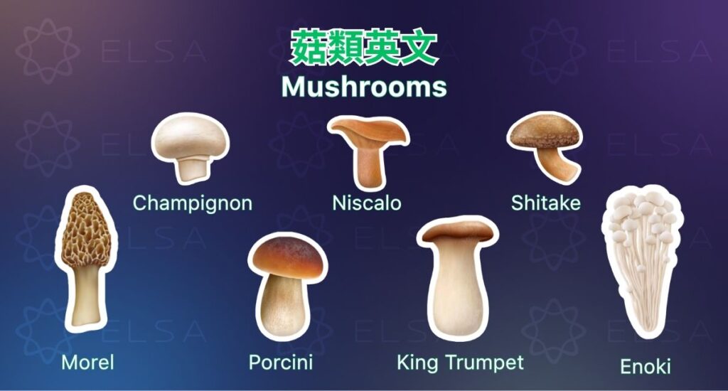 學習常見菌菇英文,如 mushroom、shiitake、enoki mushroom、oyster mushroom。