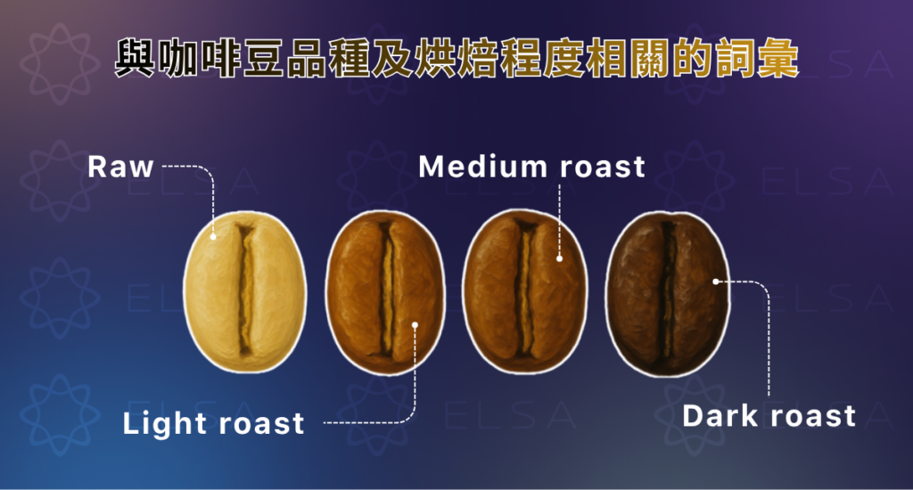 與咖啡豆品種及烘焙程度相關的詞彙